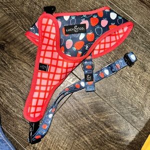 Lucy & Co x Petsmart reversible harness